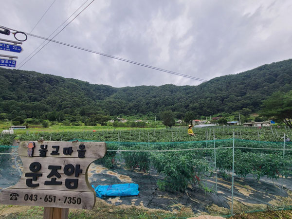 ��õ �ұ����� ���� ù ��Ȯ(2022�� 8�� 8��)