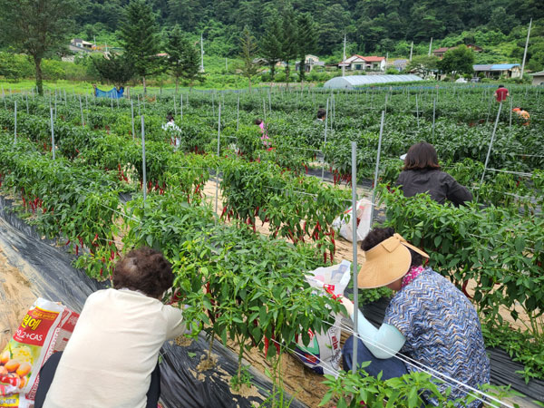 ��õ �ұ����� ���� ù ��Ȯ(2022�� 8�� 8��)