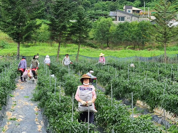 ��õ �ұ����� ���� ù ��Ȯ(2022�� 8�� 8��)