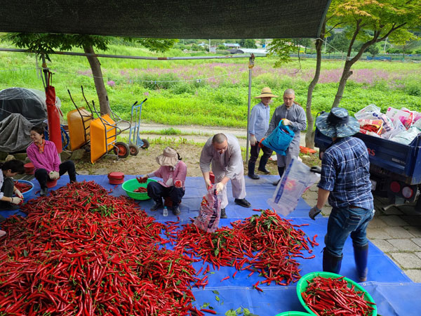 ��õ �ұ����� ���� ù ��Ȯ(2022�� 8�� 8��)