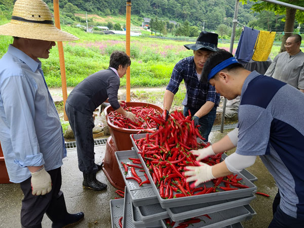 ��õ �ұ����� ���� ù ��Ȯ(2022�� 8�� 8��)