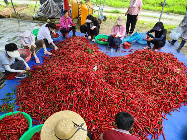 ��õ �ұ����� ���� ù ��Ȯ(2022�� 8�� 8��)