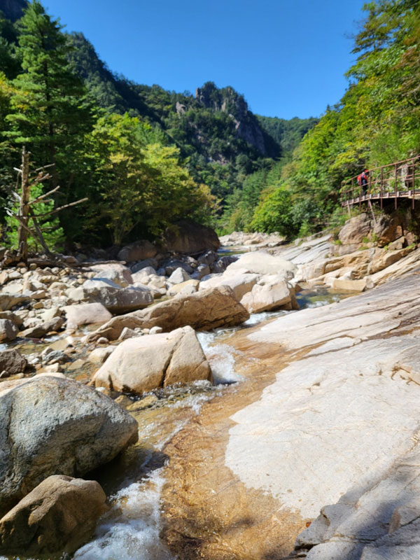 ���ǻ� ������ ��������(2022�� 9��22��~23��)