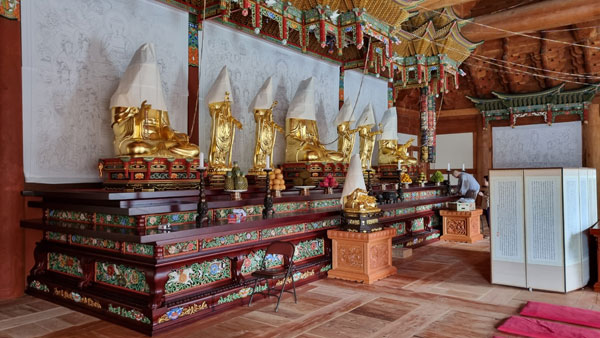 ���� ������ ���Ƚ� ����(2022�� 10�� 2��)