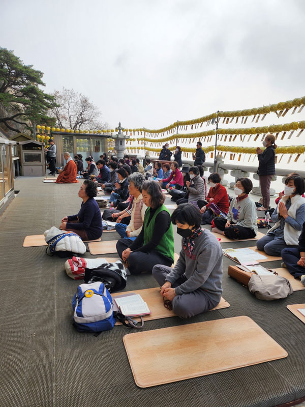 ��ȭ ������ ��������(2022�� 11�� 9��)