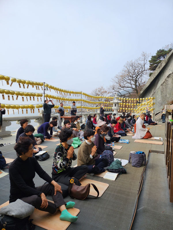 ��ȭ ������ ��������(2022�� 11�� 9��)