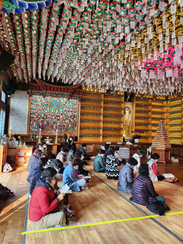 ��ȭ ������ ��������(2022�� 11�� 9��)