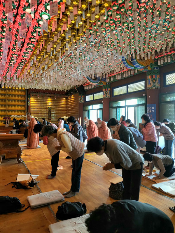 ��ȭ ������ ��������(2022�� 11�� 9��)