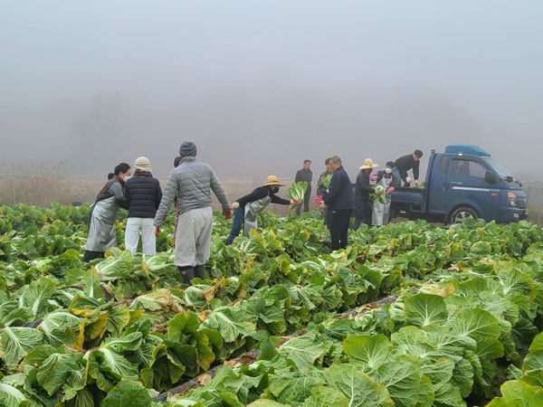 ��õ �ұ����� ���� ���߼�Ȯ(2022�� 11��16��)