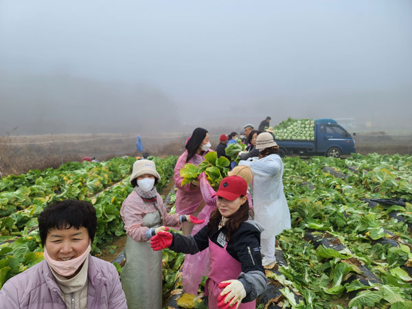 ��õ �ұ����� ���� ���߼�Ȯ(2022�� 11��16��)