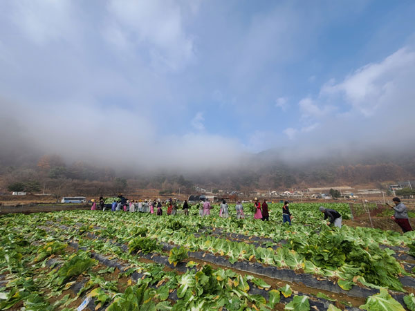 ��õ �ұ����� ���� ���߼�Ȯ(2022�� 11��16��)