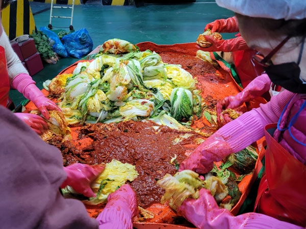 ����� ����(2022�� 11��20��)