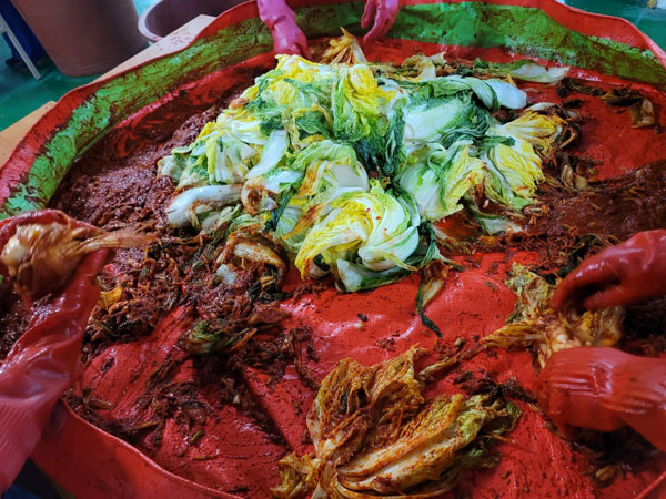 ����� ����(2022�� 11��20��)