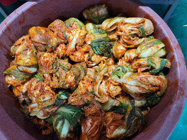 ����� ����(2022�� 11��20��)