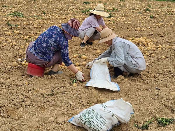 ��õ �ұ����� ���ڼ�Ȯ(2023�� 6��25��)