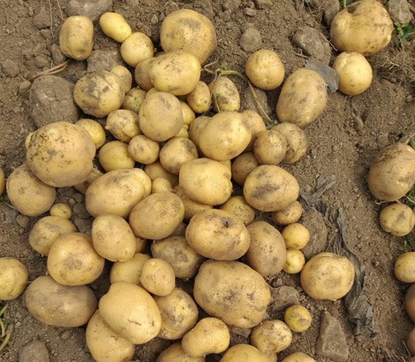 õ ұ ڼȮ(2023 625)