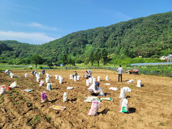 õ ұ ڼȮ(2023 625)