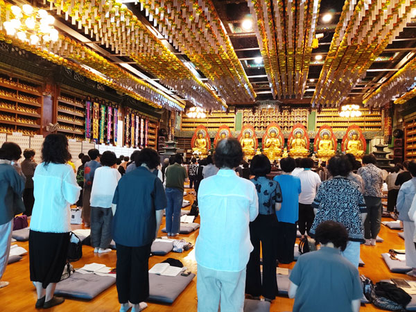 ����� ����49�� �⵵ ����(2023�� 7��13��)