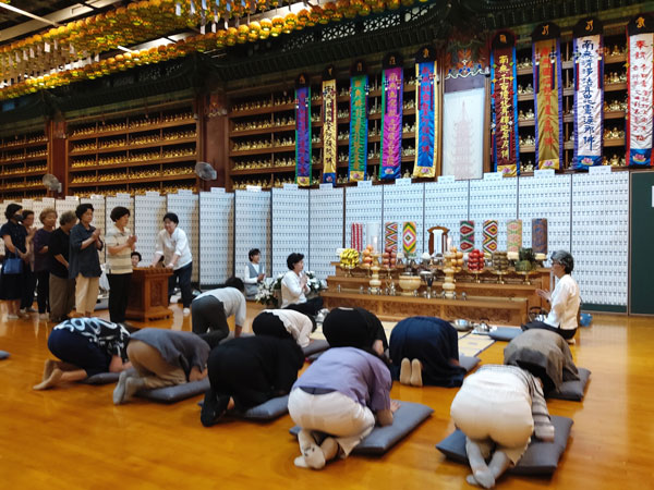 ����� ����49�� �⵵ ����(2023�� 7��13��)