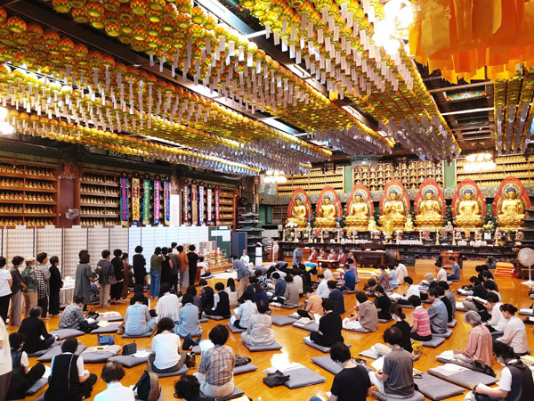 ����� ����49�� �⵵ ����(2023�� 7��13��)