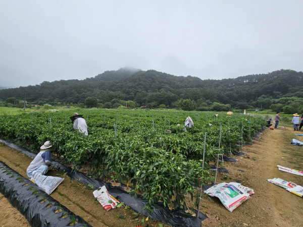 õ ұ ߼Ȯ(2023 9 1)