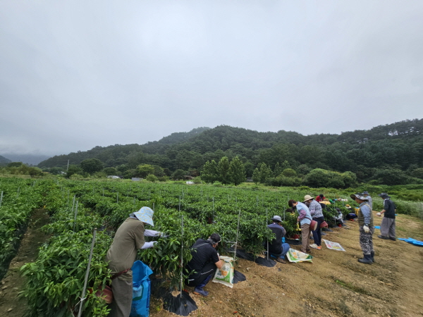 õ ұ ߼Ȯ(2023 9 1)