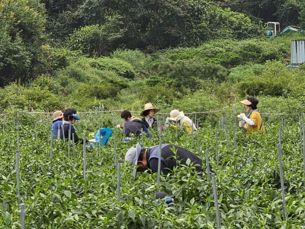 õ ұ ߼Ȯ(2023 9 1)