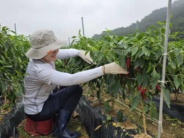 õ ұ ߼Ȯ(2023 9 1)