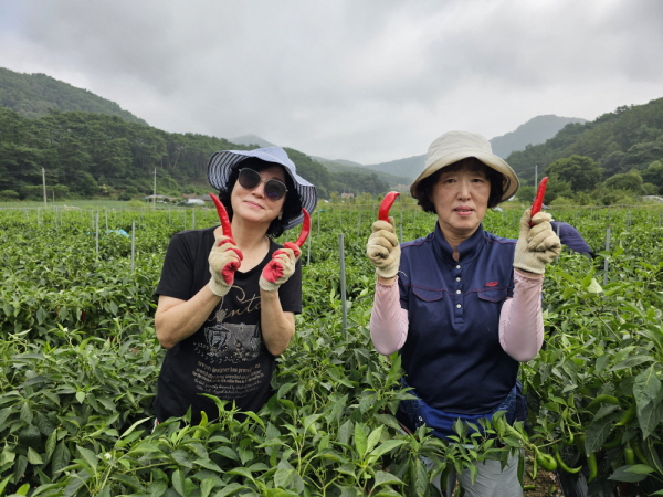 õ ұ ߼Ȯ(2023 9 1)