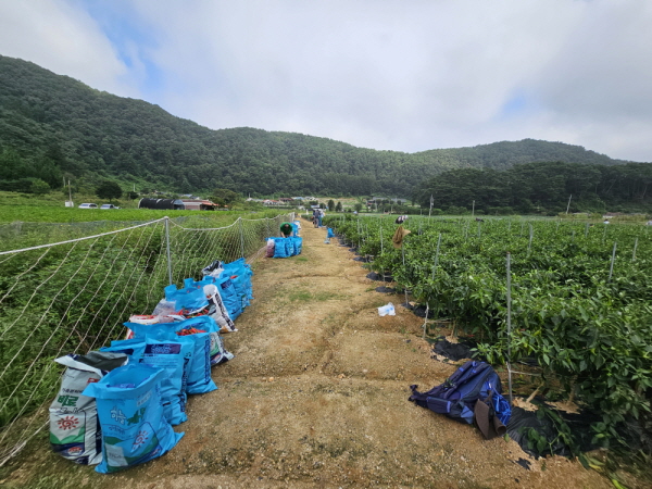 õ ұ ߼Ȯ(2023 9 1)