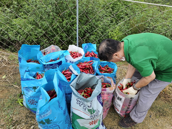 õ ұ ߼Ȯ(2023 9 1)