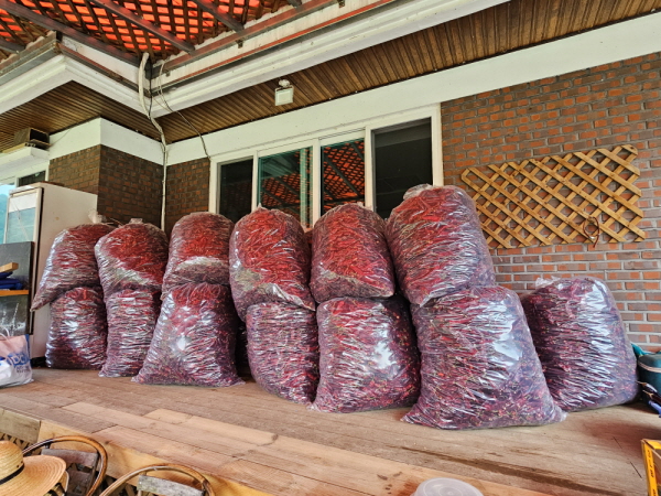 õ ұ ߼Ȯ(2023 9 1)