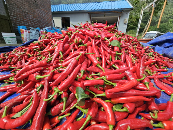 õ ұ ߼Ȯ(2023 9 1)