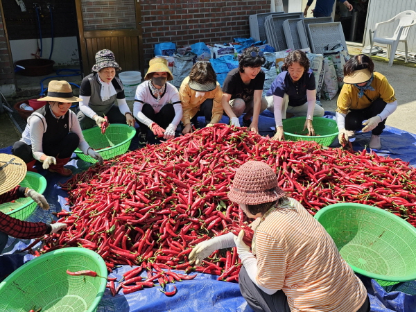 õ ұ ߼Ȯ(2023 9 1)