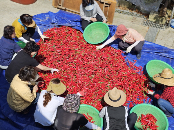 õ ұ ߼Ȯ(2023 9 1)