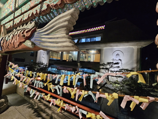  ۳ȸ, ظ Ÿ(2023 1231)