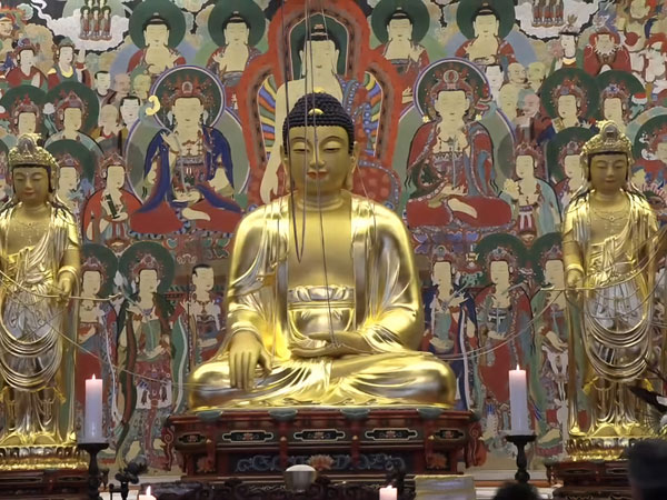 ̱    ȭ Ƚ(2024 317)