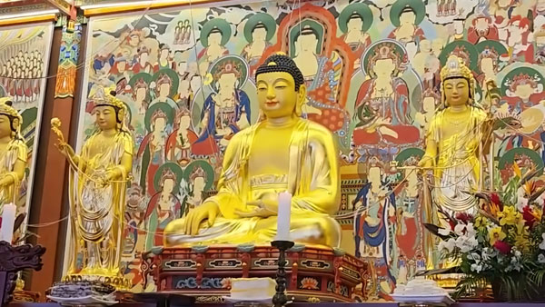 ̱    ȭ Ƚ(2024 317)