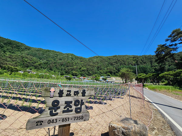 õ ұ  ġ  (2024 6 3)