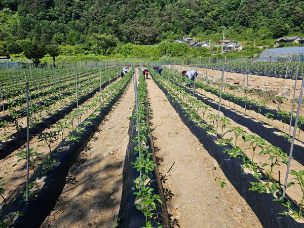 õ ұ  ġ  (2024 6 3)