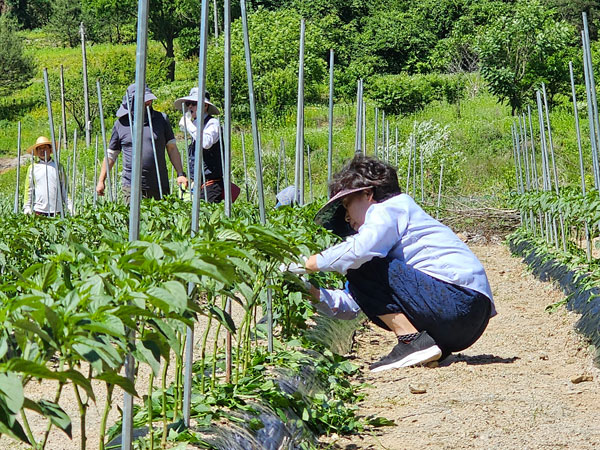 õ ұ  ġ  (2024 6 3)