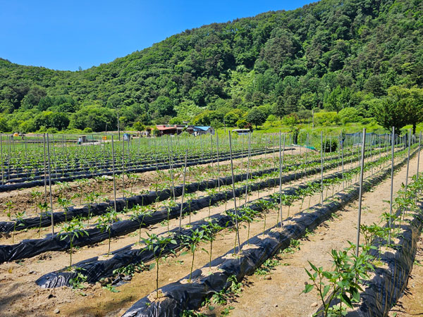 õ ұ  ġ  (2024 6 3)