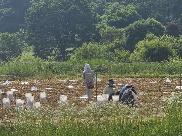 õ ұ ڼȮ(2024 621)