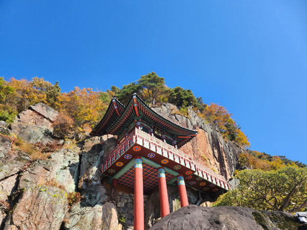 ȭ缺 (2024 1111)