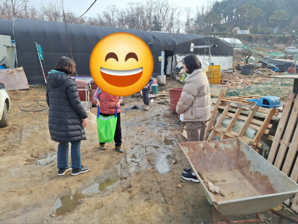      2 ҿ̿ ں񳪴 õ(2025 123)