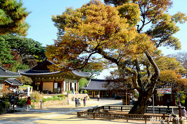 ��ȭ ������, ����� ��������(�����/������ 2025�� 11�� 6��)