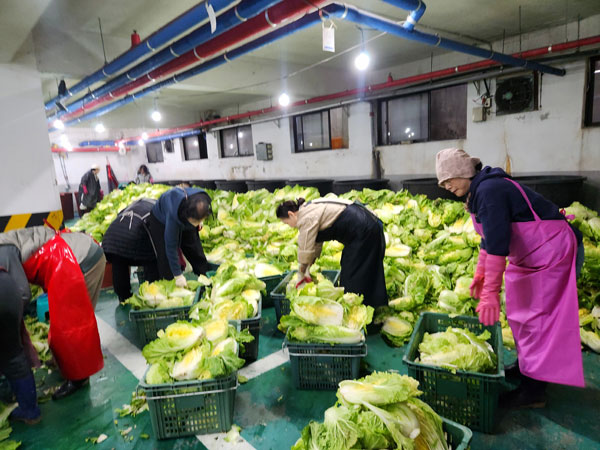 ����� �����ġ ��ױ�(11��14��~16��)