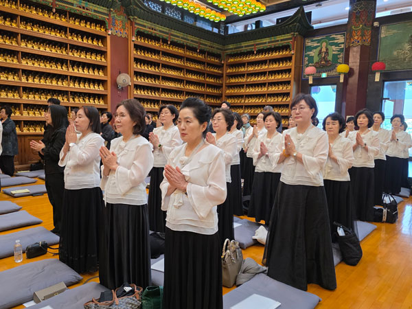 ͺ ����ȭ �����(����� ȸ�� ���콺�� ��ģ) 49��